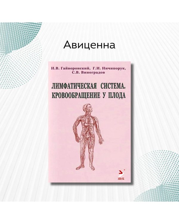 Лимфатическая система. Кровообращение у плода. Учебное пособие