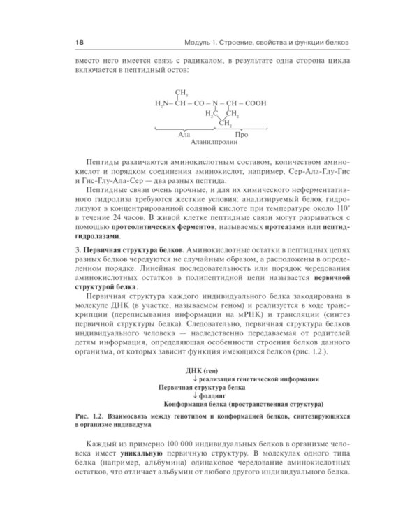 Биологическая химия с упражнениями и задачам: Учебник + CD. 3-е изд., стер