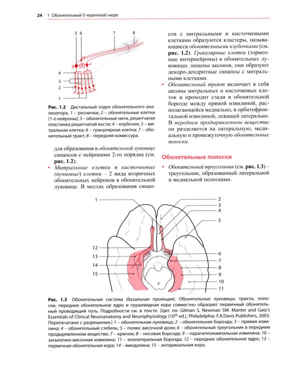 Черепные нервы: анатомия, патология, визуализация. 3-е изд