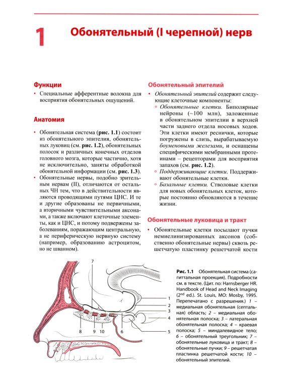 Черепные нервы: анатомия, патология, визуализация. 3-е изд