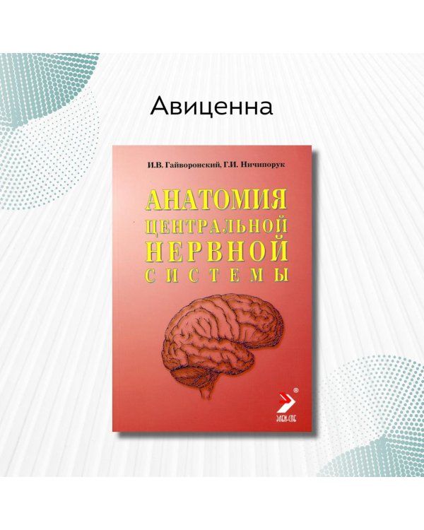 Анатомия центральной нервной системы. Краткий курс. Учебное пособие