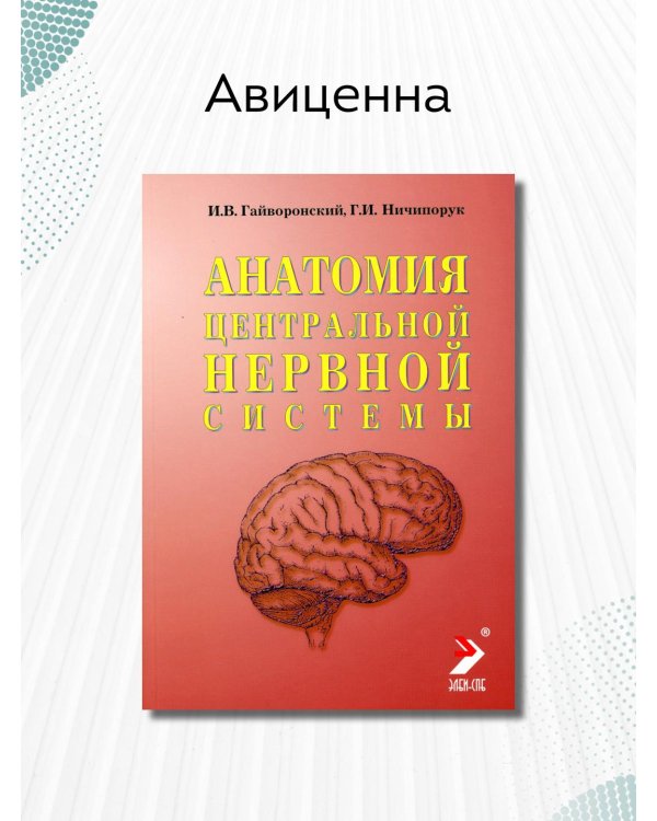 Анатомия центральной нервной системы. Краткий курс. Учебное пособие