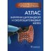 УЦЕНКА Атлас хирургии щитовидной и околощитовидных желез