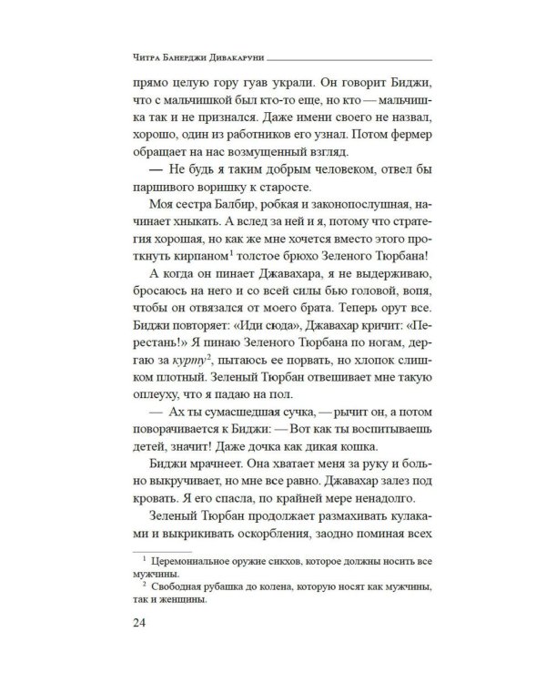 Душа Лахора: роман