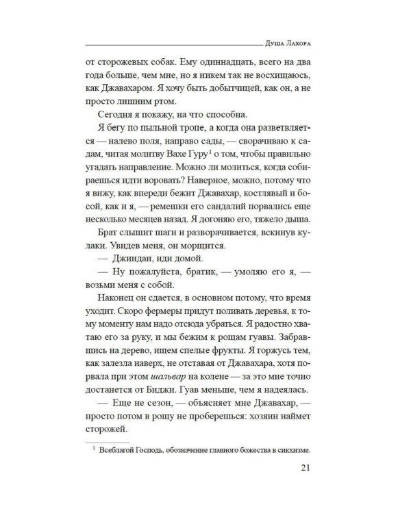 Душа Лахора: роман