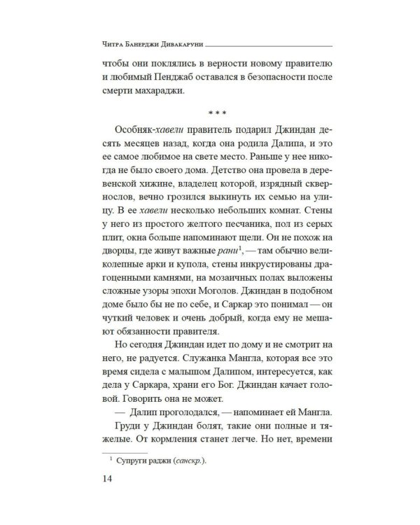 Душа Лахора: роман