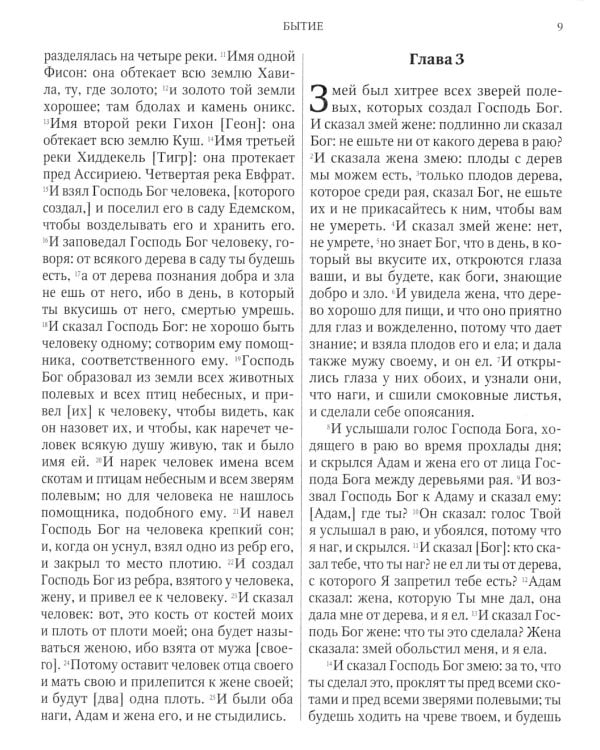 Библия или Книги Священного Писания Ветхого и Нового Завета, в русском переводе (круп.шрифт)