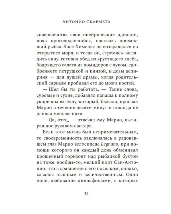 Почтальон Неруды: роман