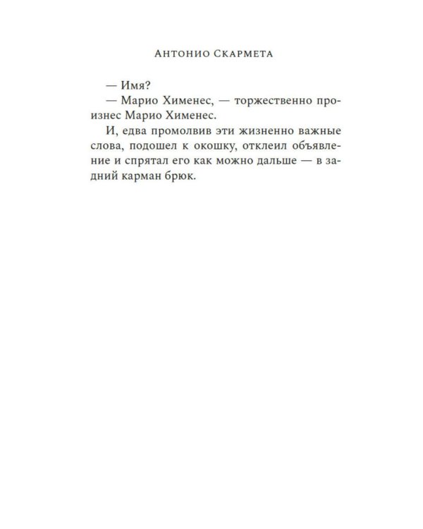 Почтальон Неруды: роман