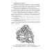 Функциональная анатомия эндокринной системы: Учебное пособие. 10-е изд., доп. и испр Функциональная анатомия эндокринной системы: Учебное пособие. 10-е изд., доп. и испр