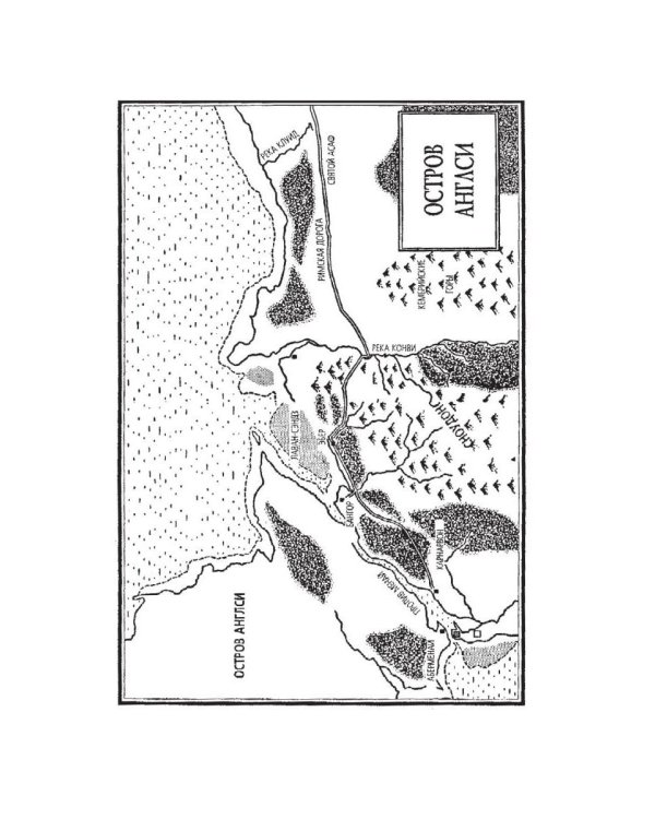 Датское лето: роман