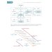 Латентная туберкулезная инфекция: эпидемиология, патогенез, диагностика, лечение