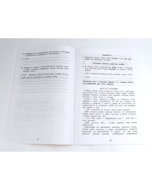 ВПР 4кл. Русский язык, Математика.10 вариантов (комплект из 2-х книг)