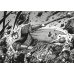 Дополнительное изображение книги «Клинки хранителей. Кн. 5»