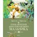Приключения доисторического мальчика: повесть