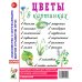 Цветы в картинках. Наглядное пособие для педагогов, воспитателей, логопедов и родителей