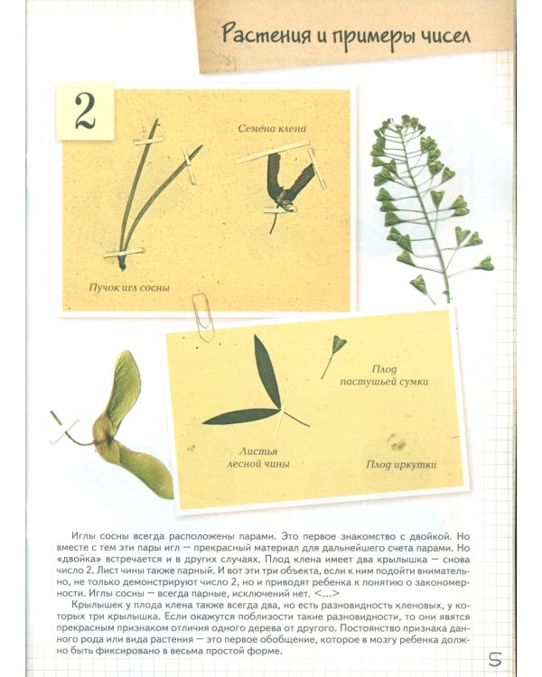 Комплект из 2 кн. Занимательная математика для детей: " Математика в растениях"; "Счет до 5 и до 10 с наклейками"