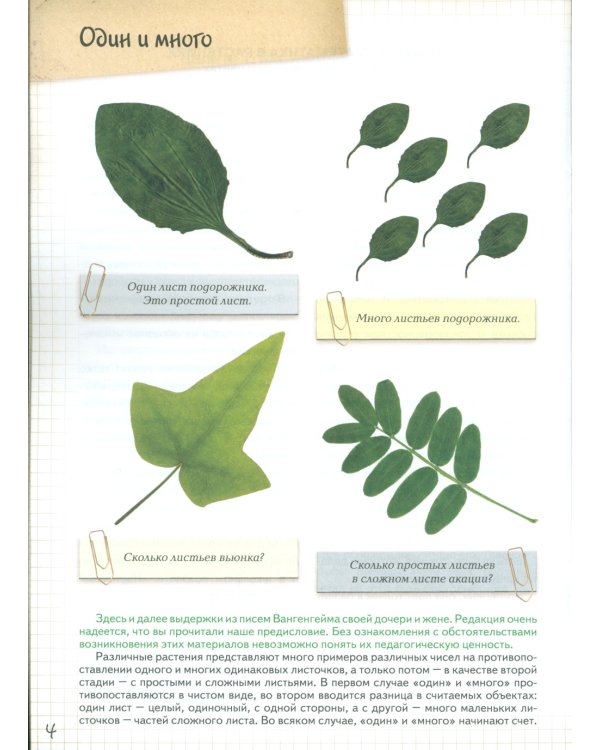 Комплект из 2 кн. Занимательная математика для детей: " Математика в растениях"; "Счет до 5 и до 10 с наклейками"