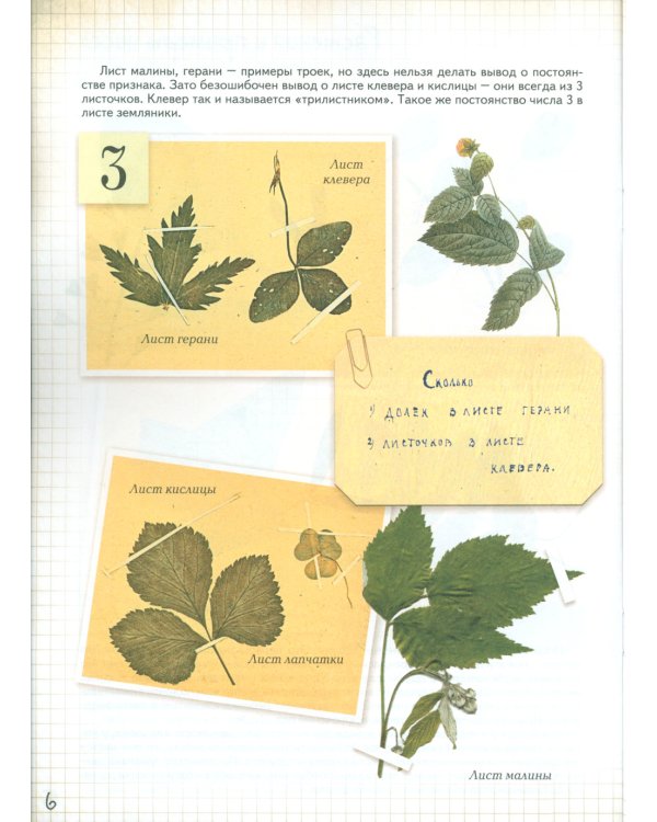 Комплект из 2 кн. Занимательная математика для детей: " Математика в растениях"; "Счет до 5 и до 10 с наклейками"