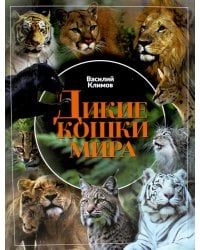 Дикие кошки мира