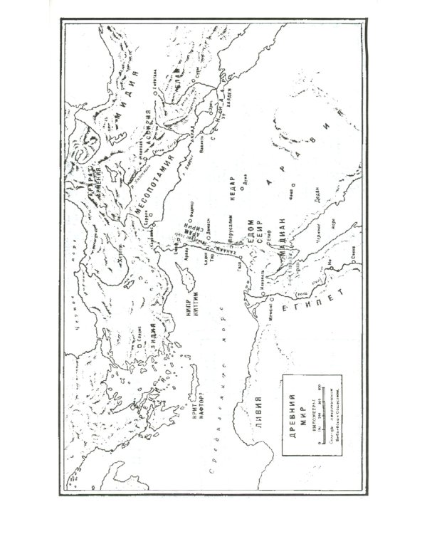 Библия 057 MTiG ИИЖ (Коричневый райт 2024)