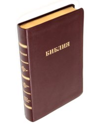 Библия 057 MTiG ИИЖ (Коричневый райт 2024)