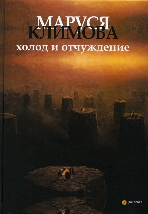 polaroid Холод и отчуждение