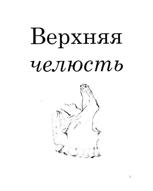 Атлас изображений анатомических особенностей зуба человека