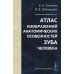 Атлас изображений анатомических особенностей зуба человека