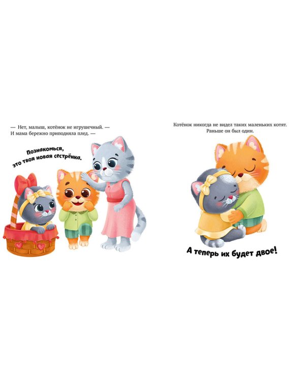 Подарок для котенка