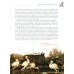 Лучшие сказки из страны тюльпанов. Волшебные истории Голландии, Бельгии и Люксембурга