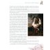 Лучшие сказки из страны тюльпанов. Волшебные истории Голландии, Бельгии и Люксембурга