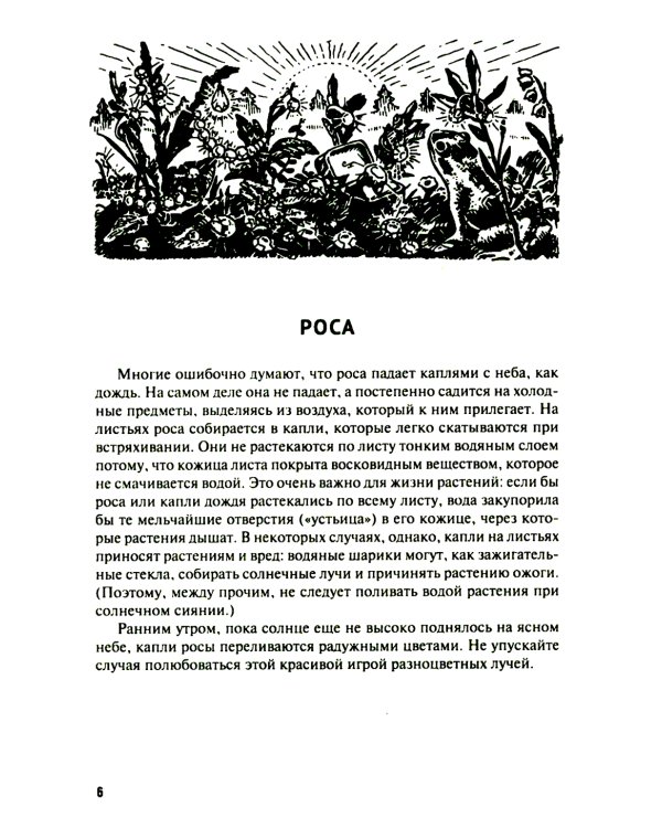 Живая физика