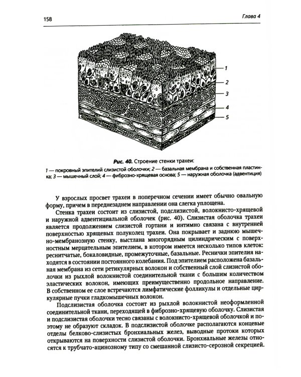Хирургия средостения. Руководство для врачей