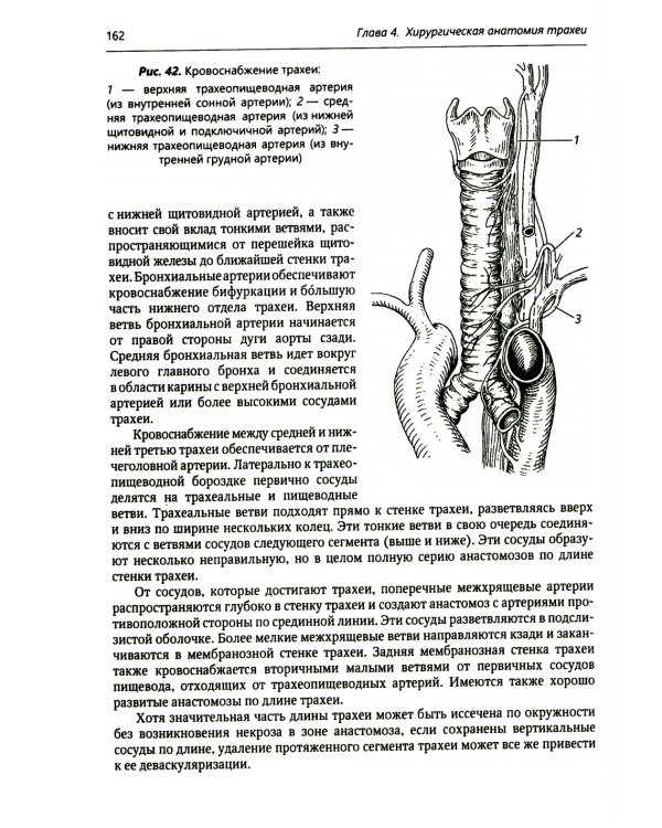 Хирургия средостения. Руководство для врачей