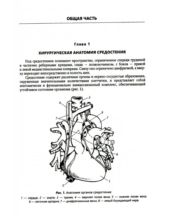 Хирургия средостения. Руководство для врачей