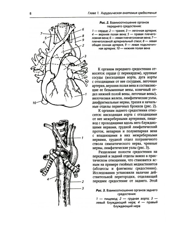Хирургия средостения. Руководство для врачей