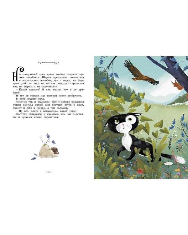 Котёнок, который всего боялся. Сказки премудрой совы