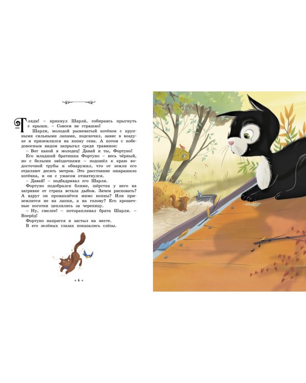 Котёнок, который всего боялся. Сказки премудрой совы