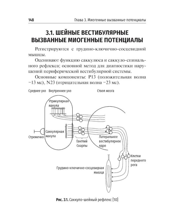 Объективные методы диагностики слуха: вызванные потенциалы в практике врача - сурдолога-оториноларинголога