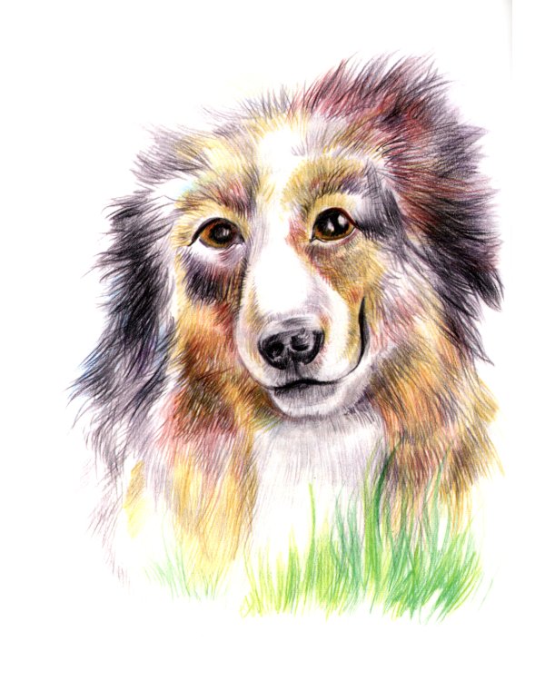 Детям о братьях наших меньших: сборник