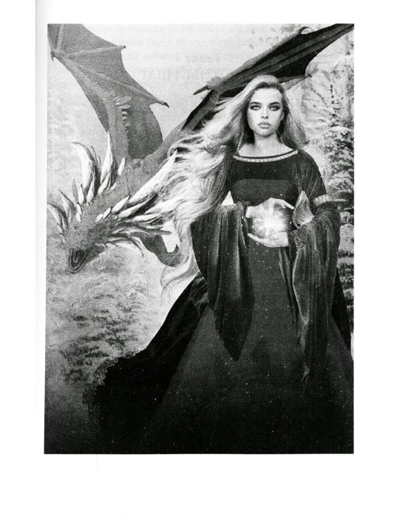 Дракон серебряной метели