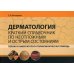 Дерматология. Краткий справочник по неотложным и острым состояниям. Первая и амбулаторно-поликлиническая помощь