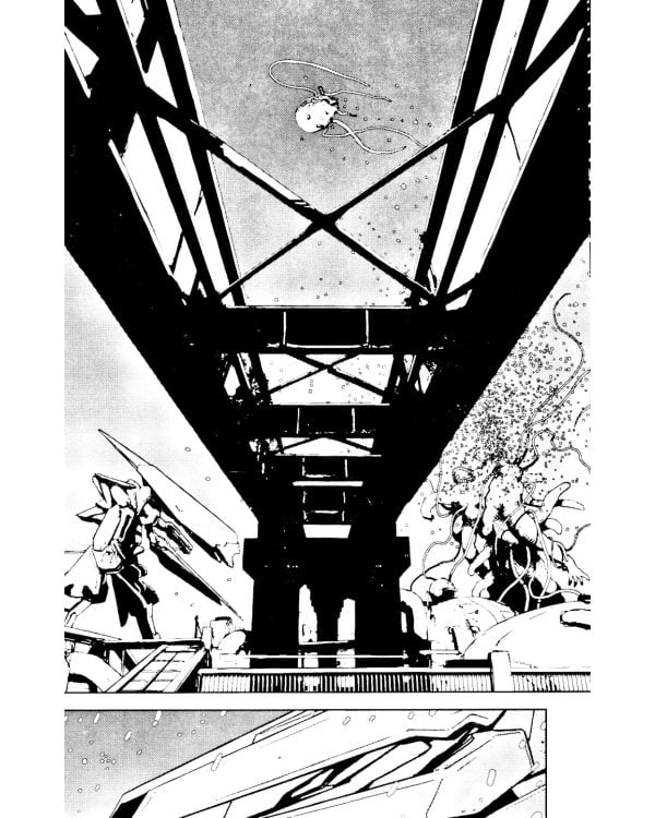 Рыцари Сидонии. Т. 1