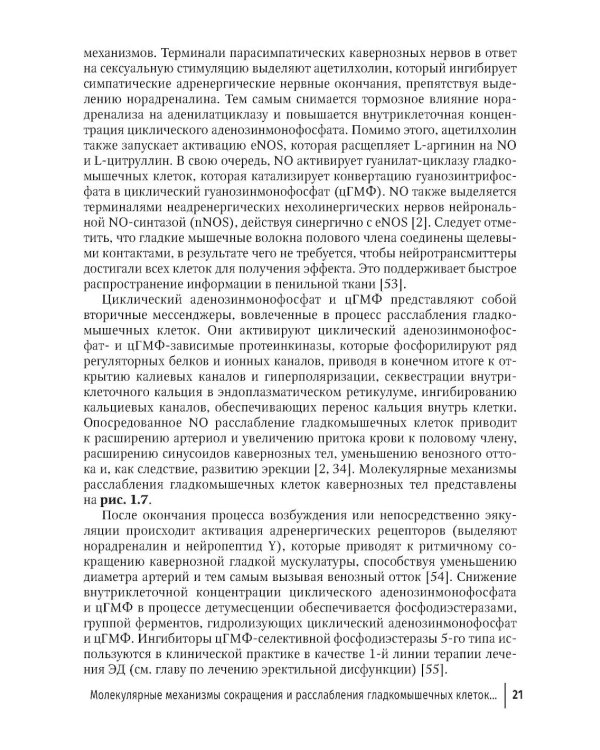 Эректильная дисфункция: диагностика, лечение, мониторинг