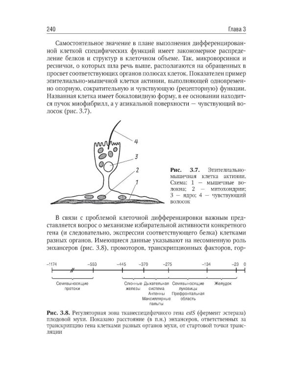 Биология. В 2 т. Т. 1: Учебник