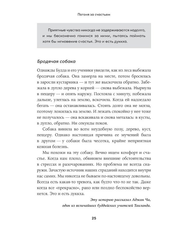 Что бы сделал Будда? Как сохранять спокойствие в мире хаоса