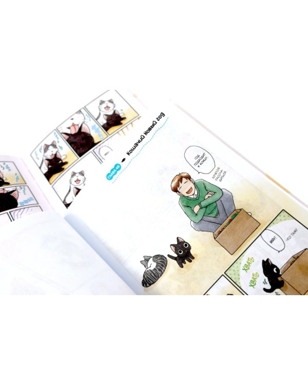 Сью и Тайчик. Кн. 1-4 манга (комплект из 4-х книг)