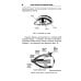 Здоровье - образ жизни Лучшие методы восстановления зрения