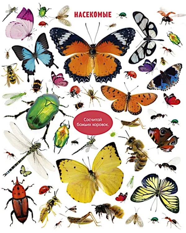 Большая книга малыша. Животные